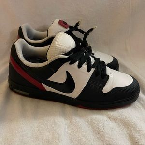 Nike 6.0 Low Skateboarding Sneakers